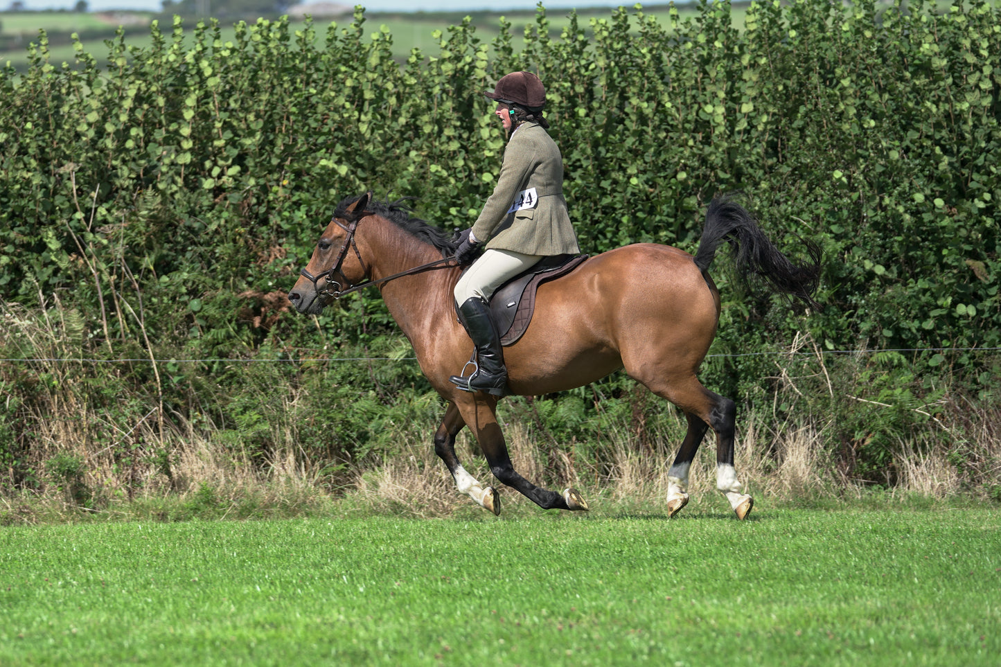 lanlivery show jumping rings part 3