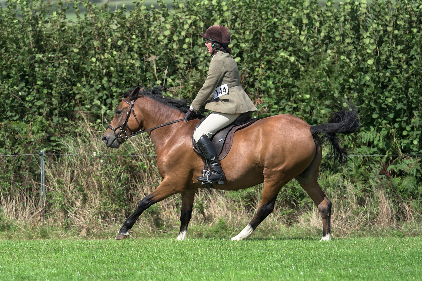 lanlivery show jumping rings part 3