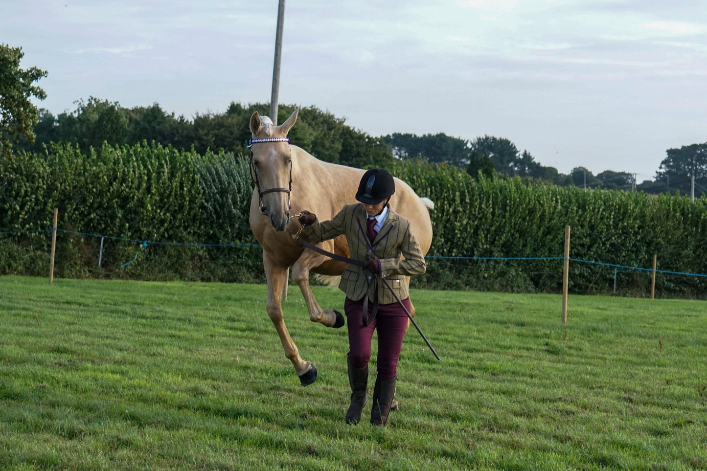 lanlivery show in hand part 1