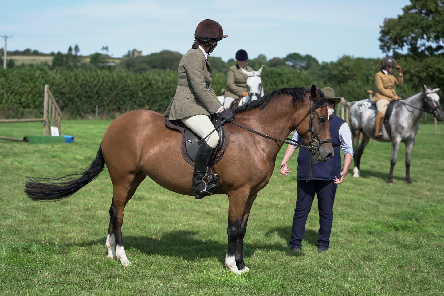 lanlivery show jumping rings part 3