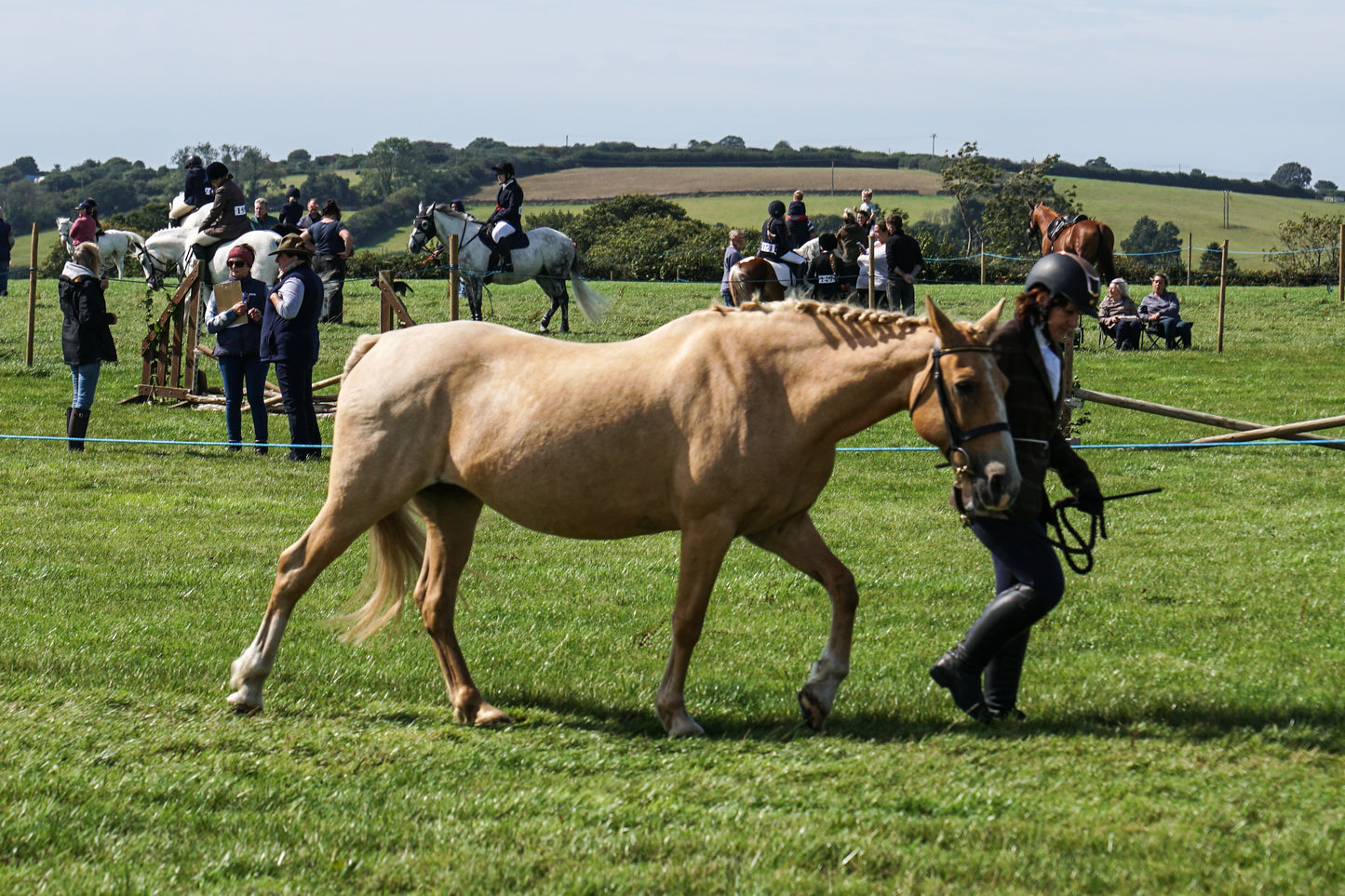 lanlivery show in hand part 3