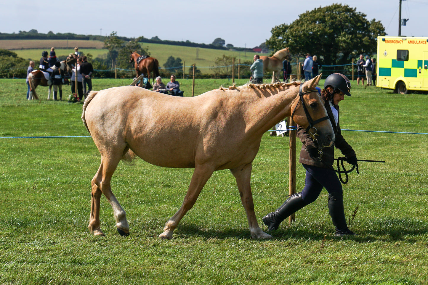 lanlivery show in hand part 3