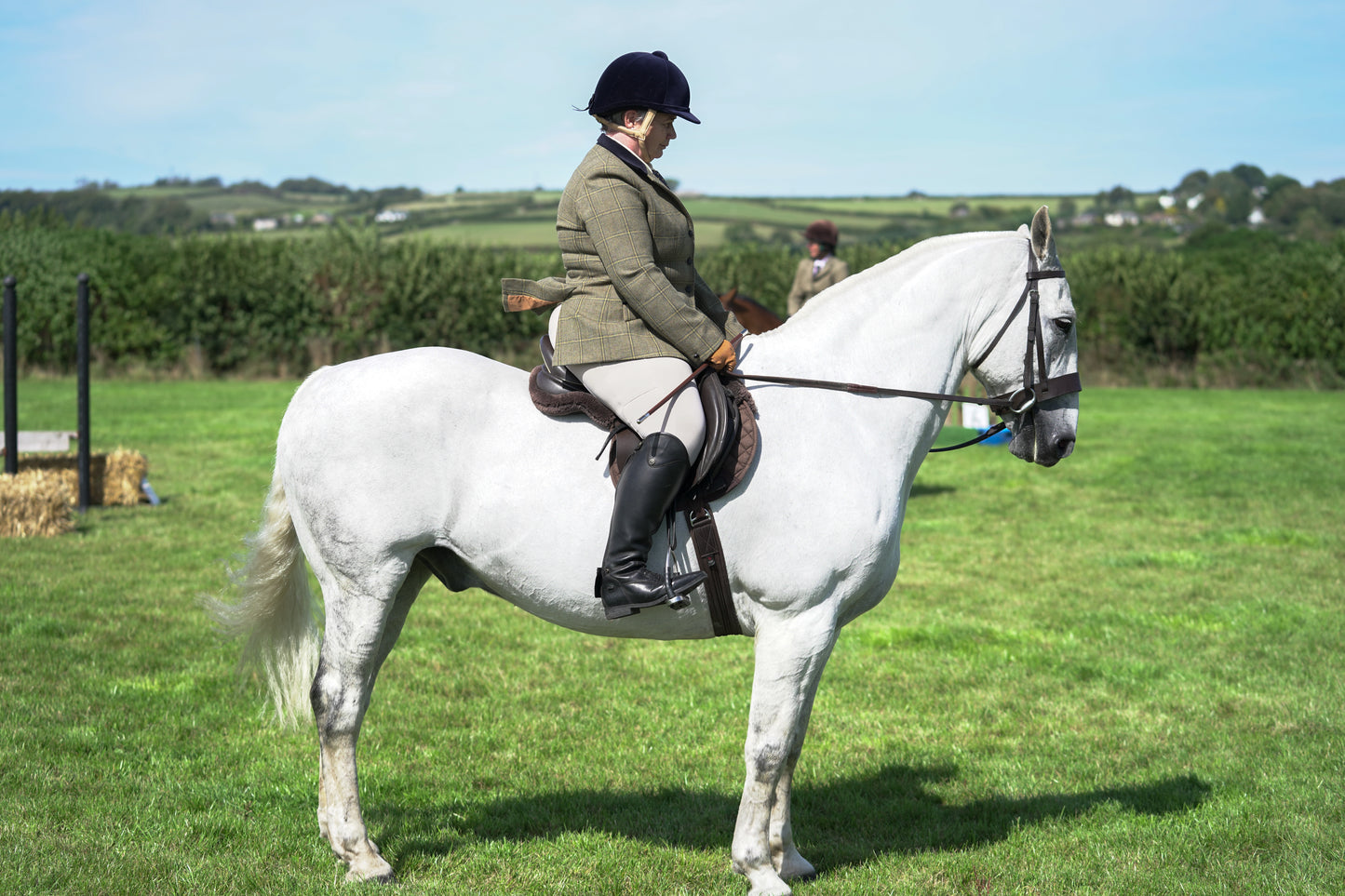 lanlivery show jumping rings part 3