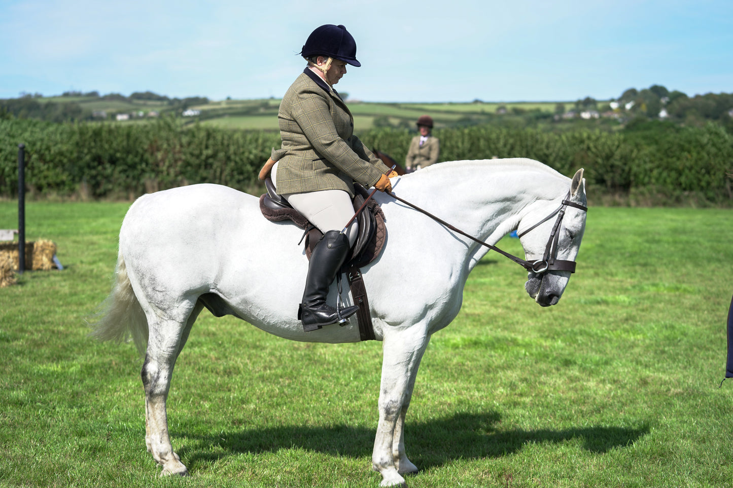 lanlivery show jumping rings part 3