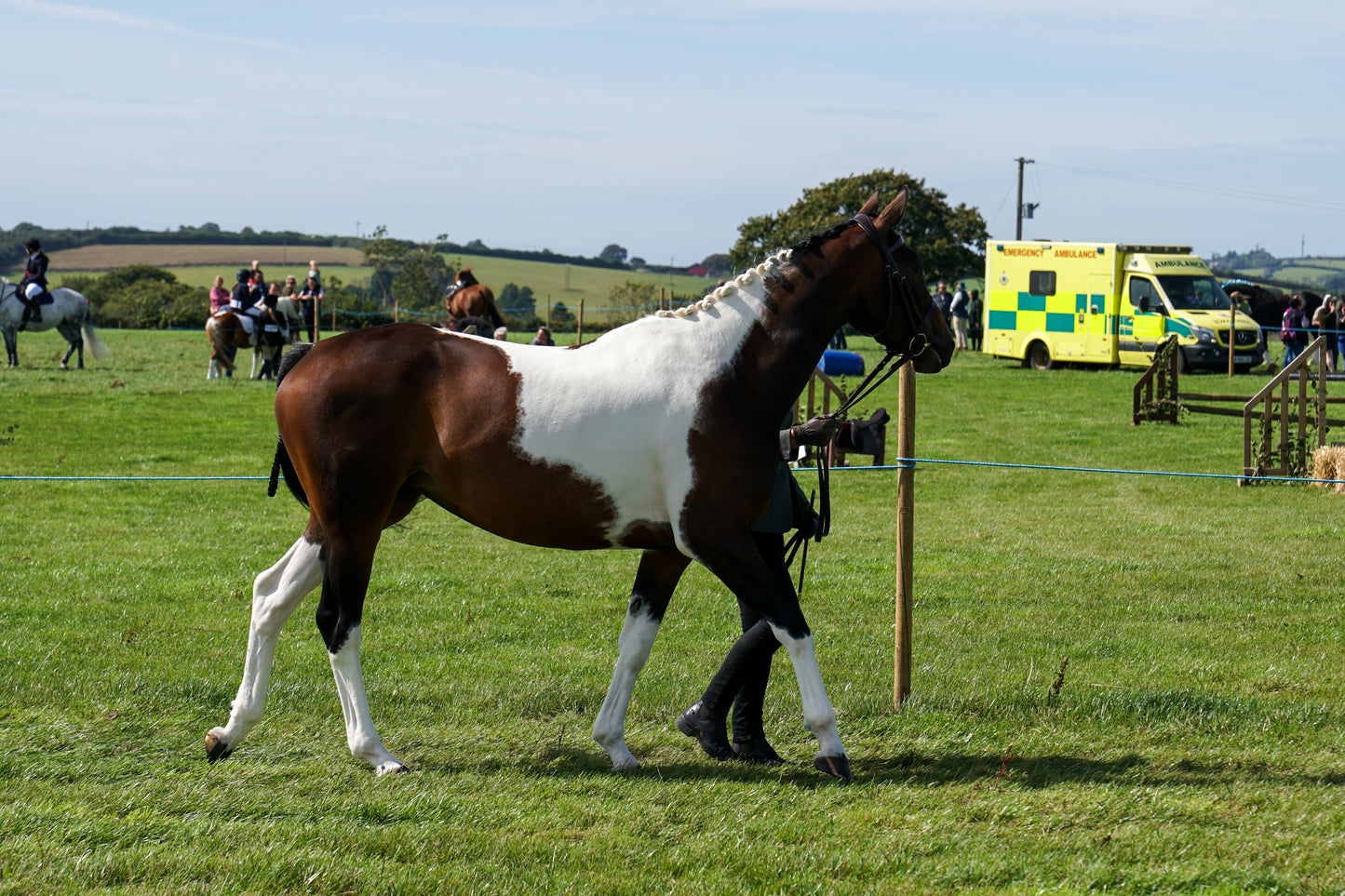 lanlivery show in hand part 3