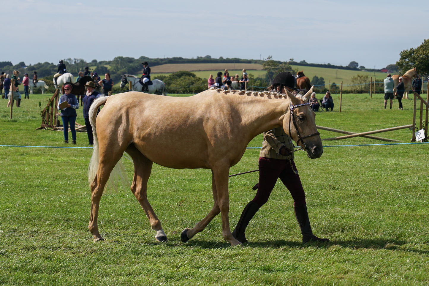 lanlivery show in hand part 3