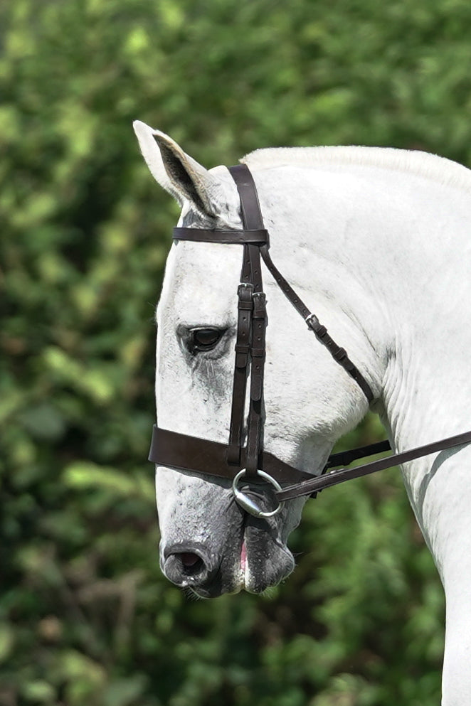 lanlivery show jumping rings part 3