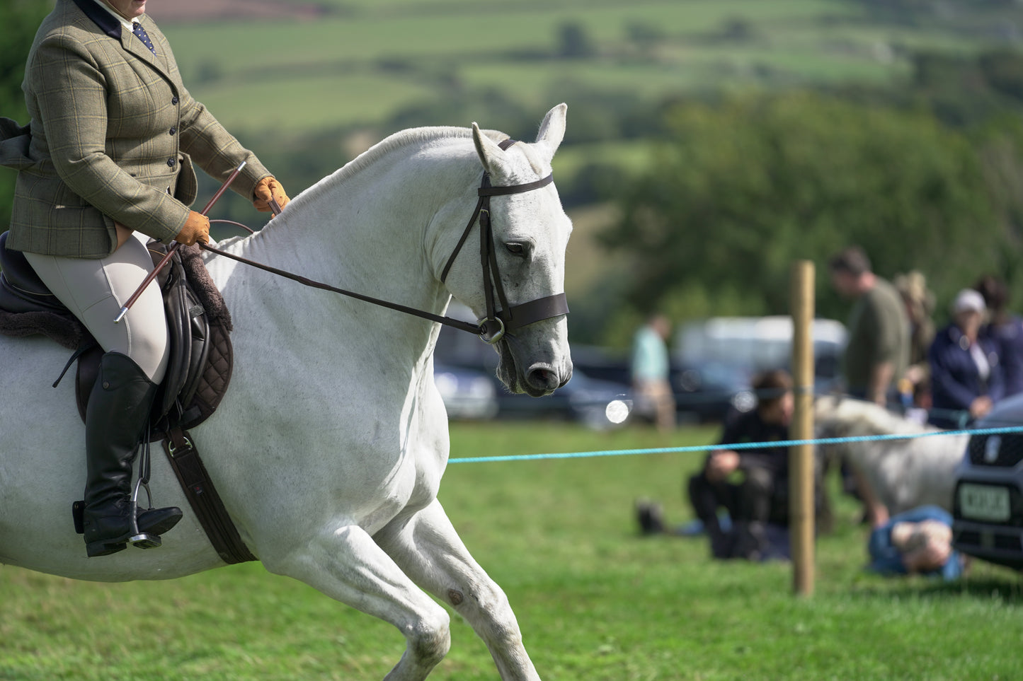 lanlivery show jumping rings part 3