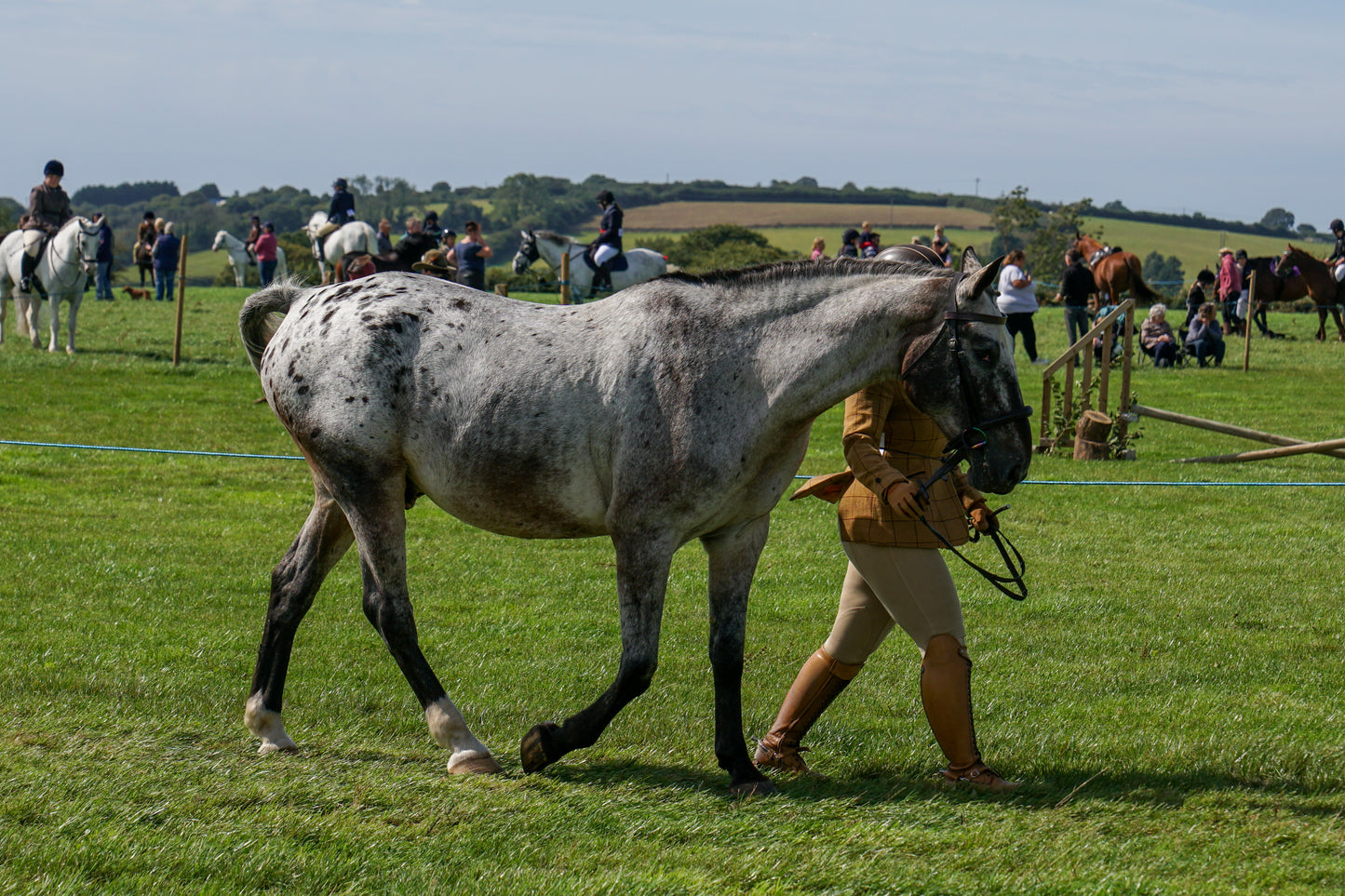 lanlivery show in hand part 3