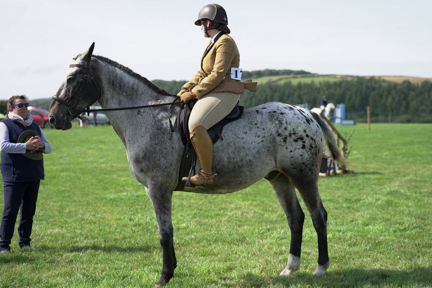 lanlivery show jumping rings part 3