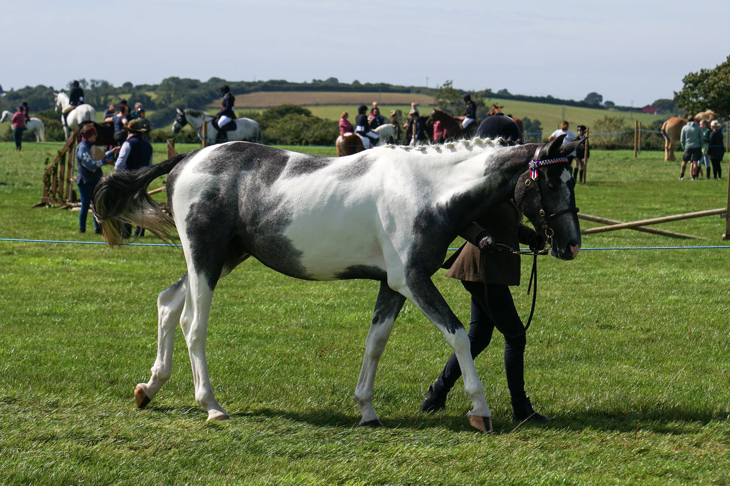 lanlivery show in hand part 3