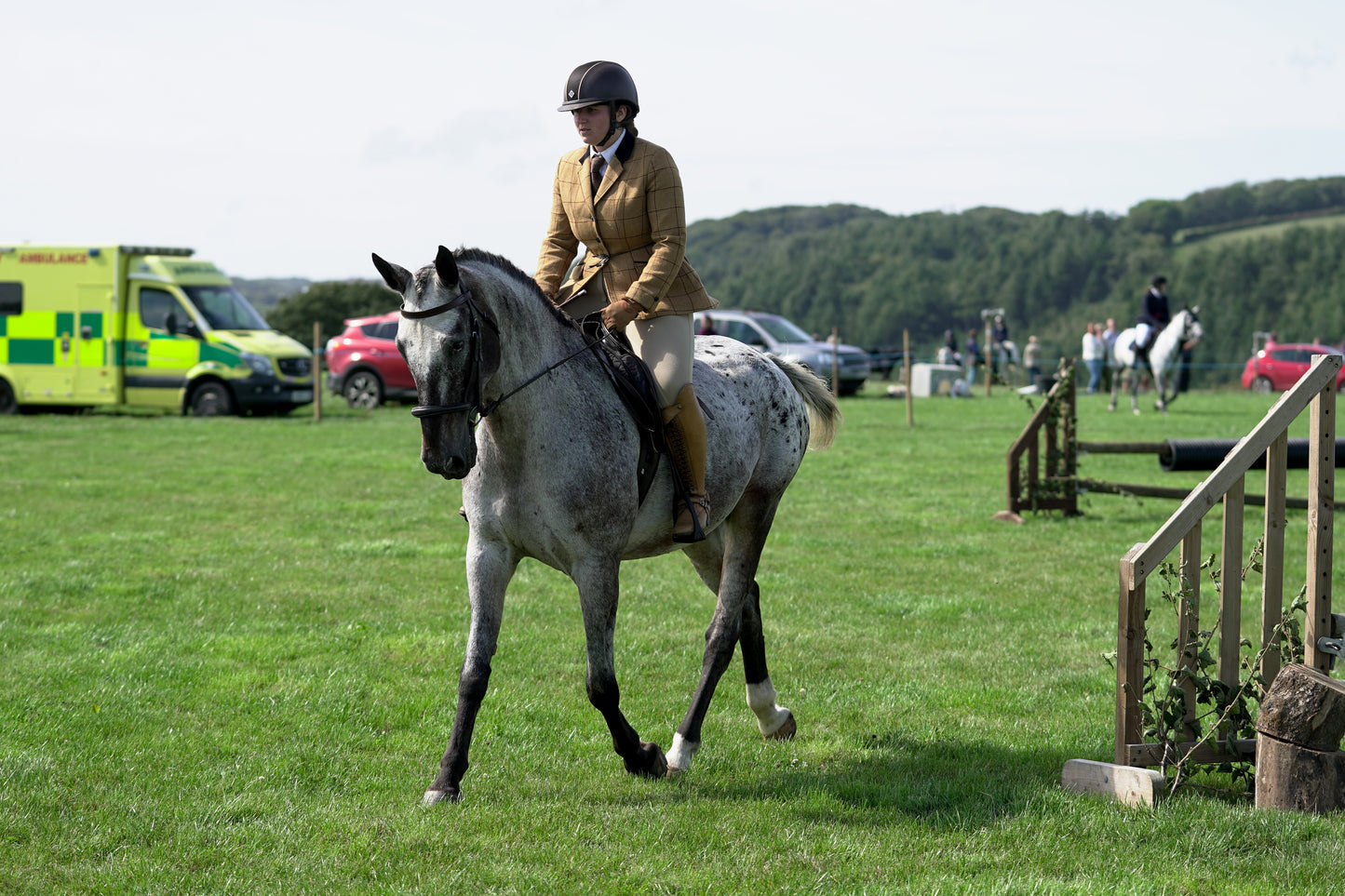 lanlivery show jumping rings part 3