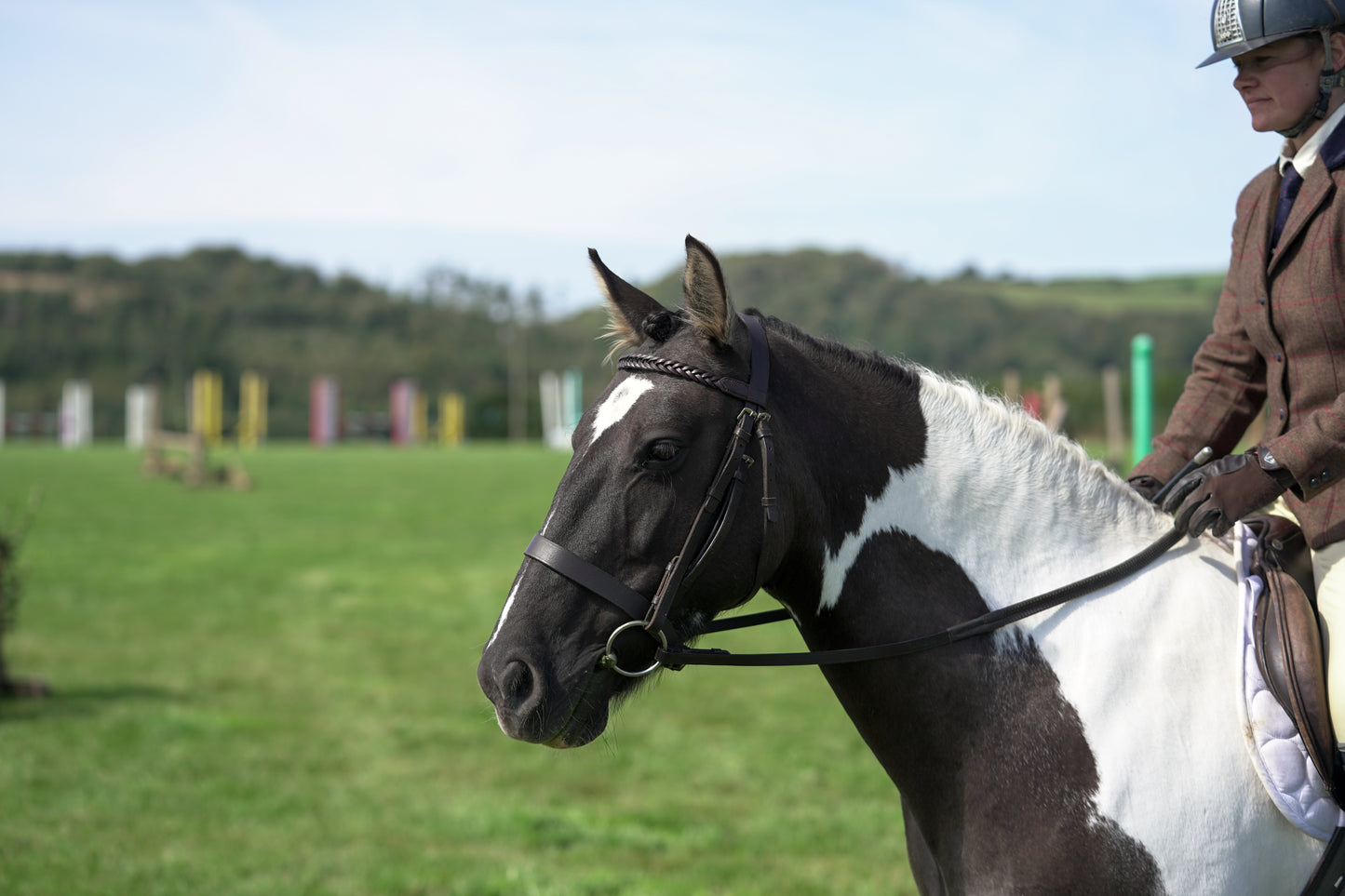 lanlivery show jumping rings part 3