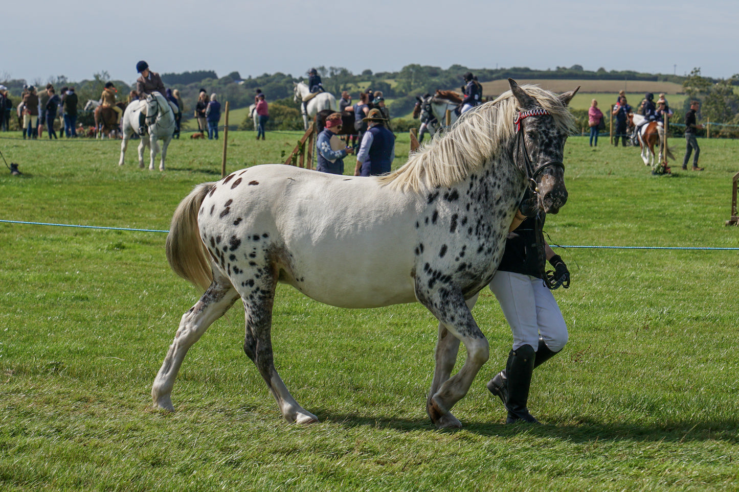 lanlivery show in hand part 3