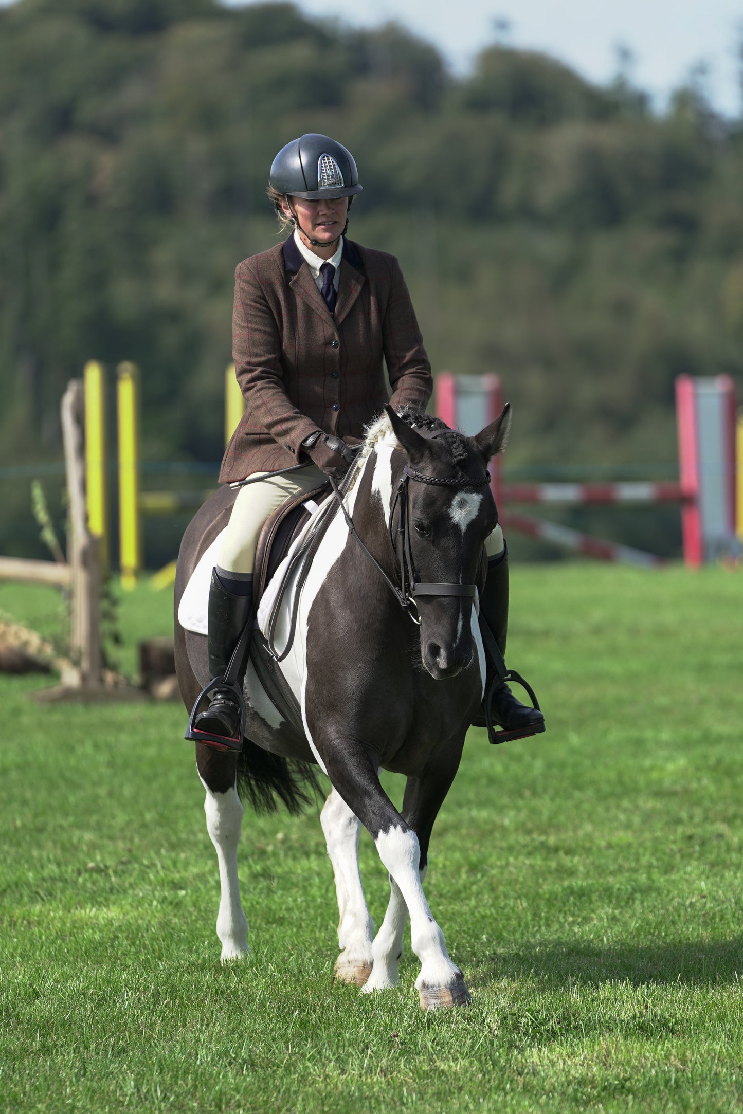 lanlivery show jumping rings part 3