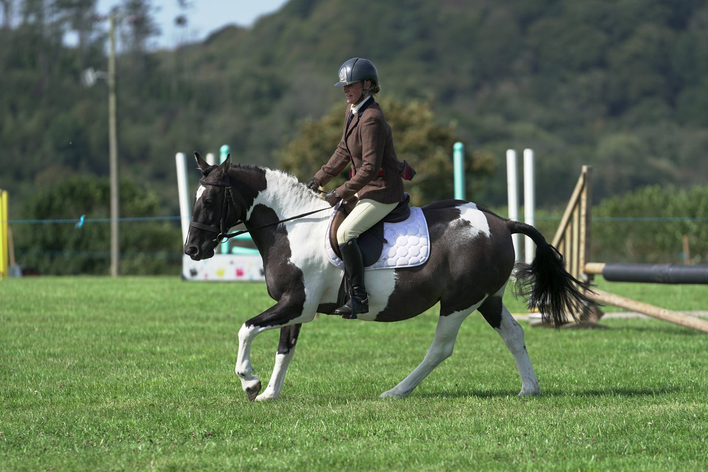lanlivery show jumping rings part 3