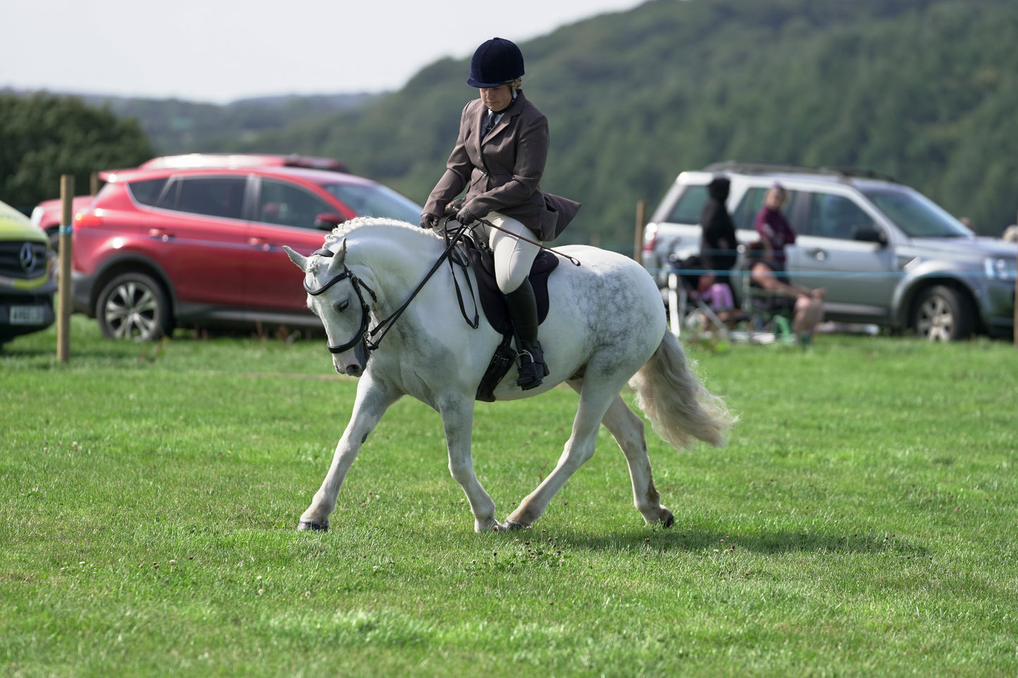 lanlivery show jumping rings part 3