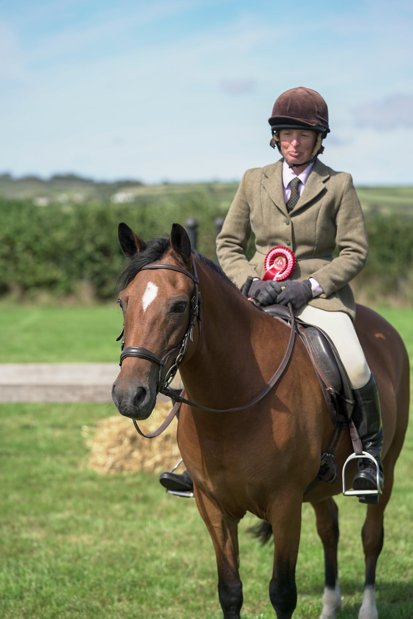 lanlivery show jumping rings part 3