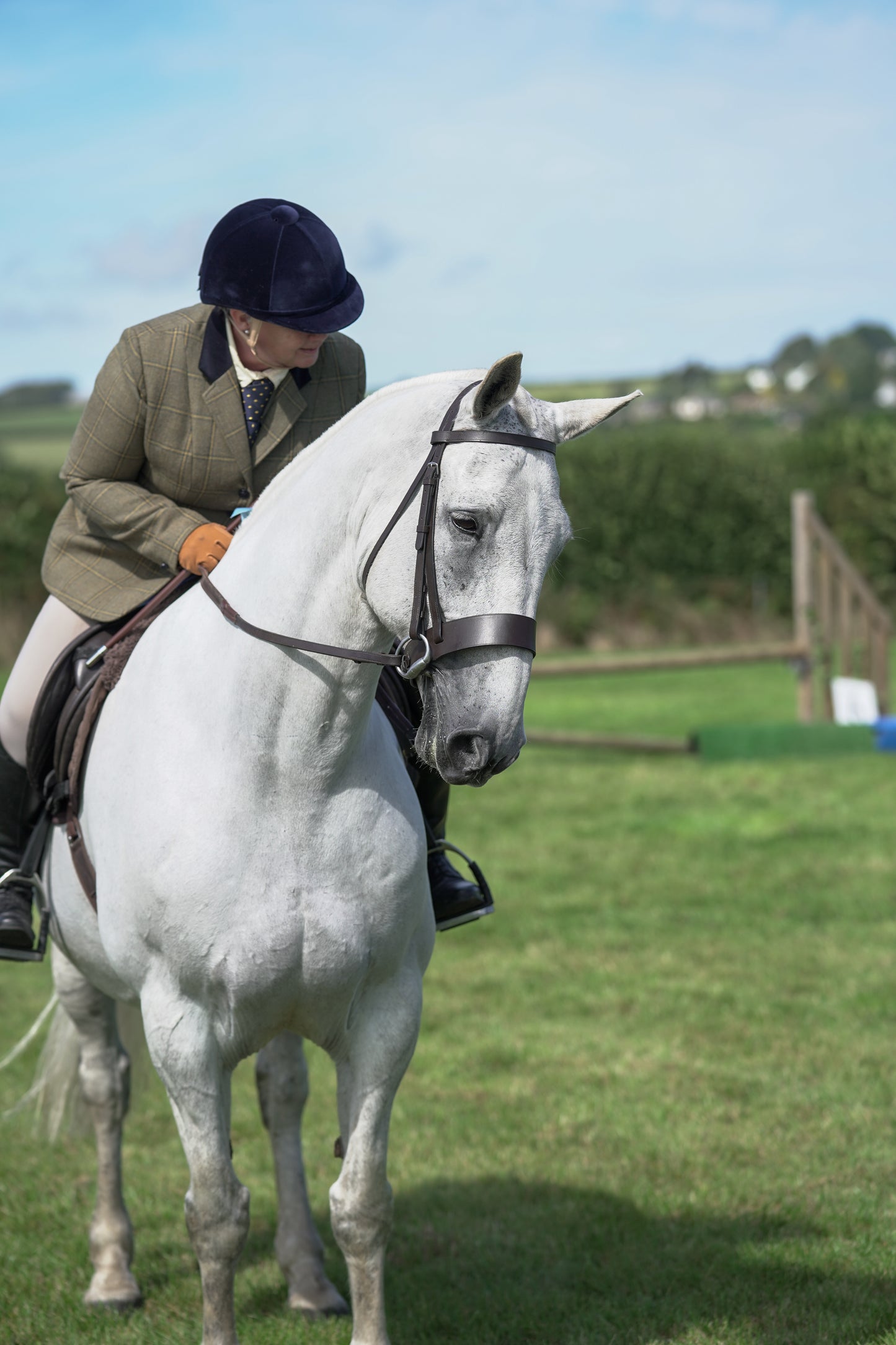 lanlivery show jumping rings part 3