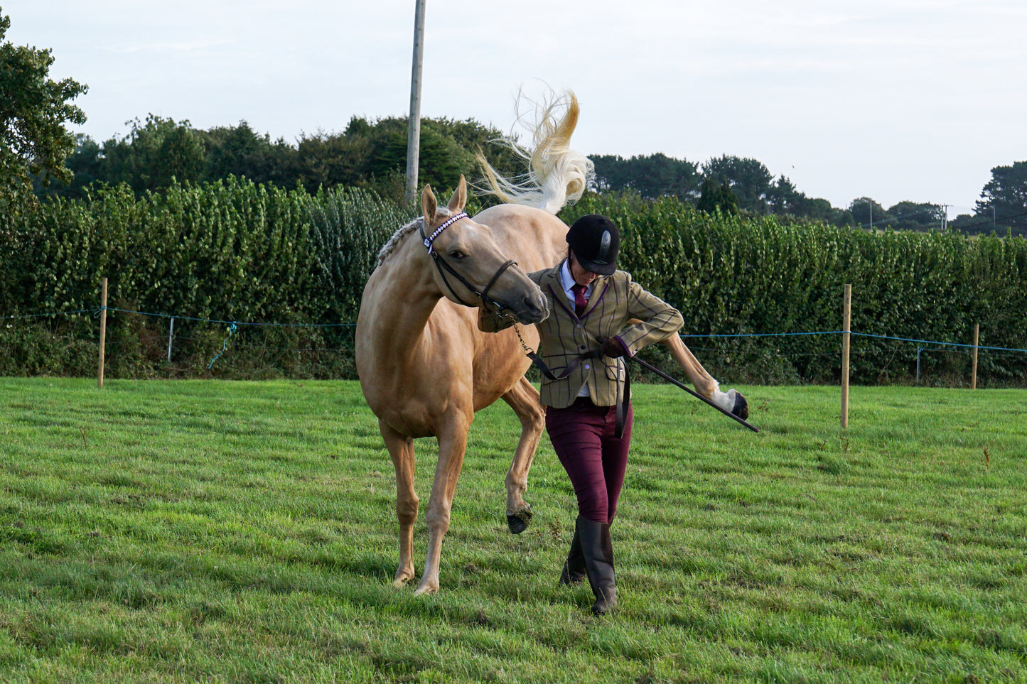lanlivery show in hand part 1