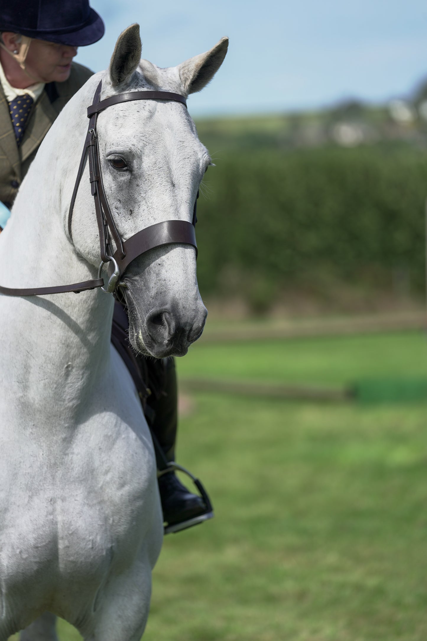 lanlivery show jumping rings part 3
