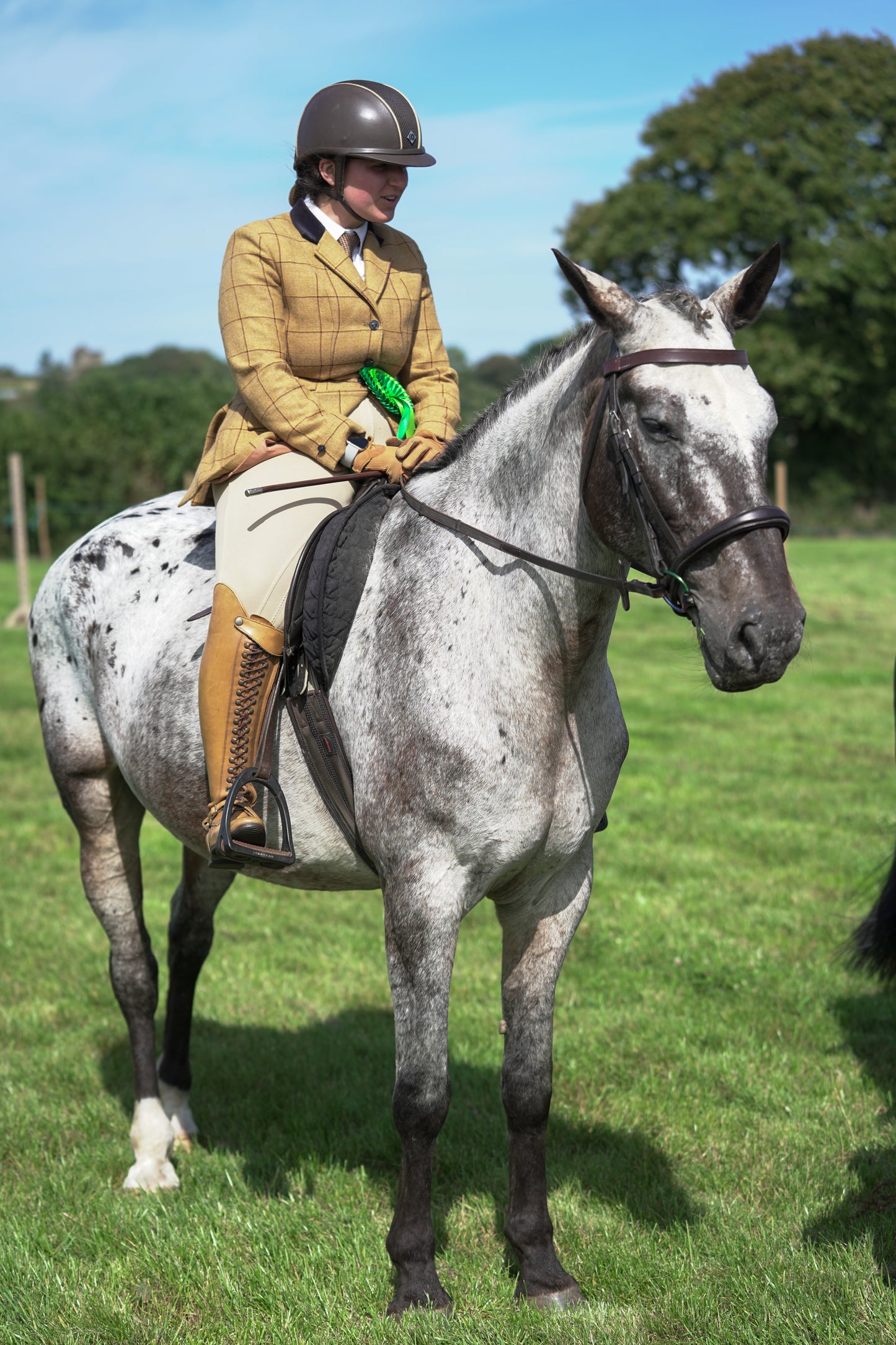 lanlivery show jumping rings part 3