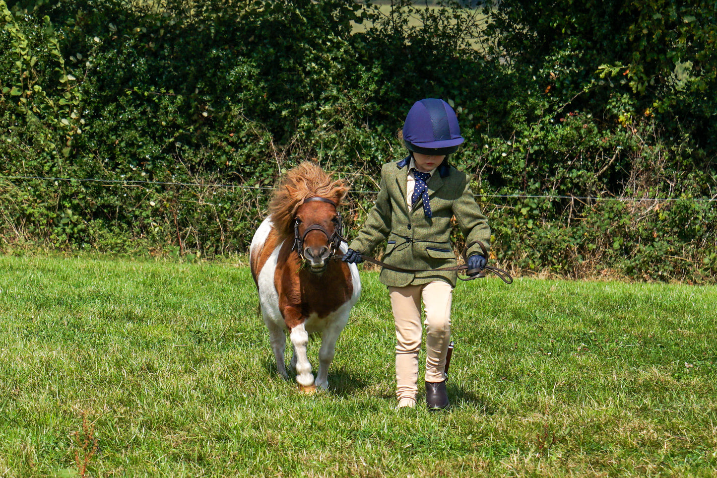 lanlivery show in hand part 3