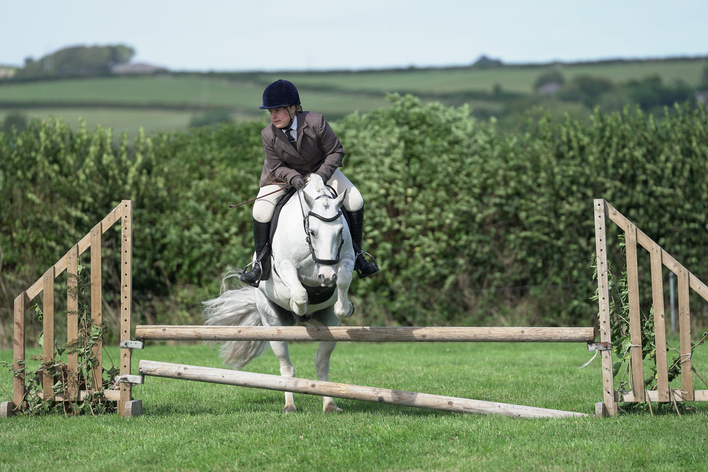 lanlivery show jumping rings part 3