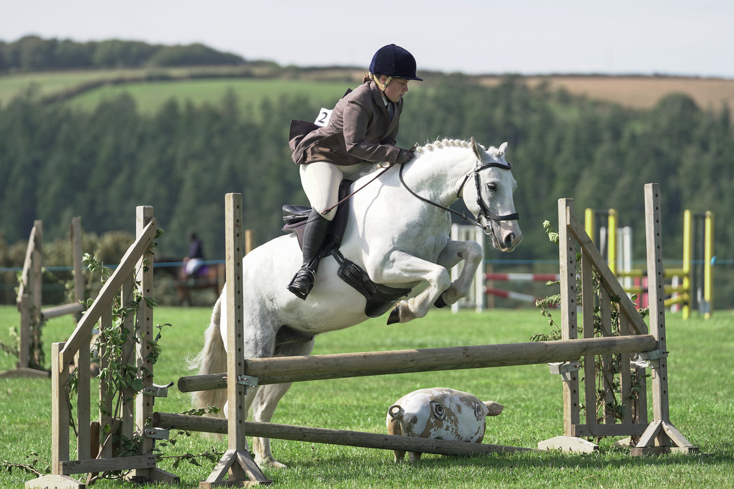 lanlivery show jumping rings part 3