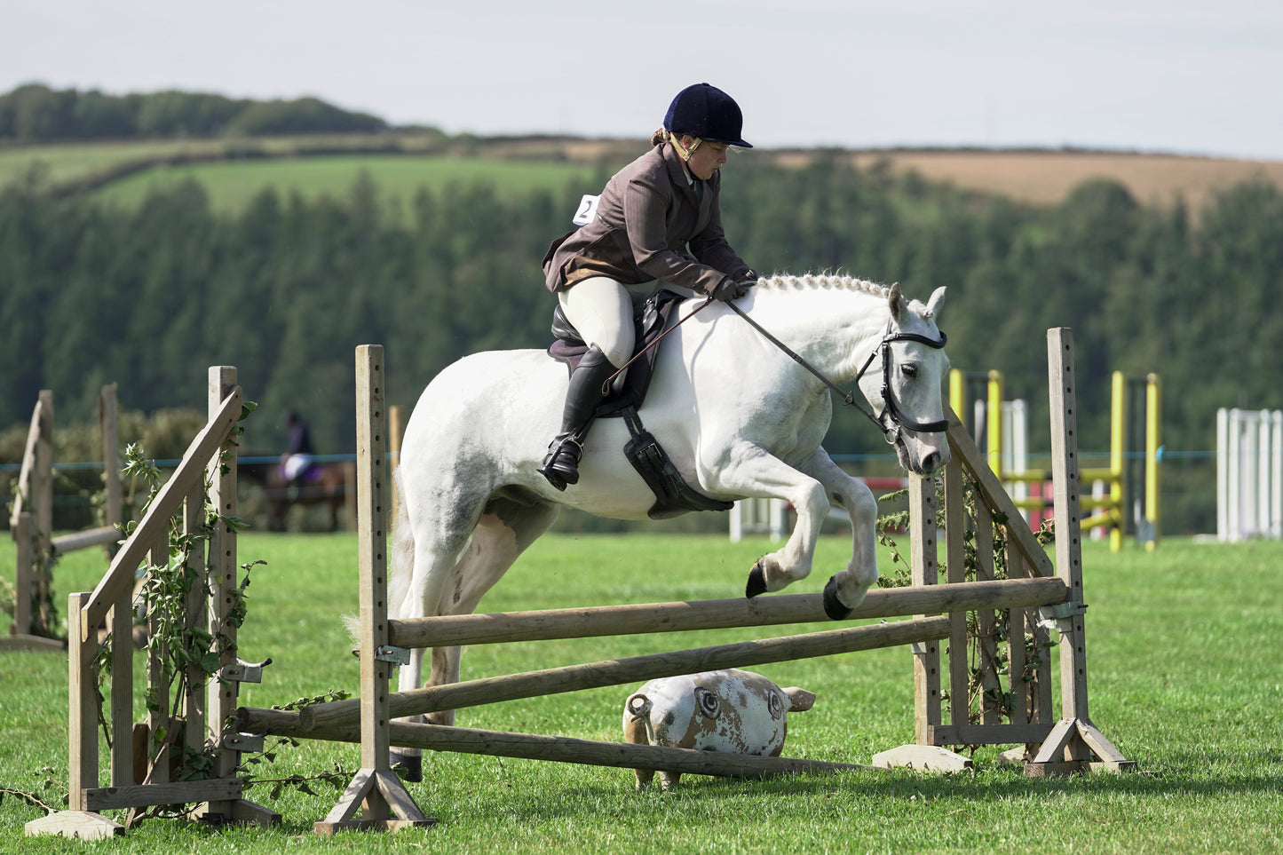lanlivery show jumping rings part 3