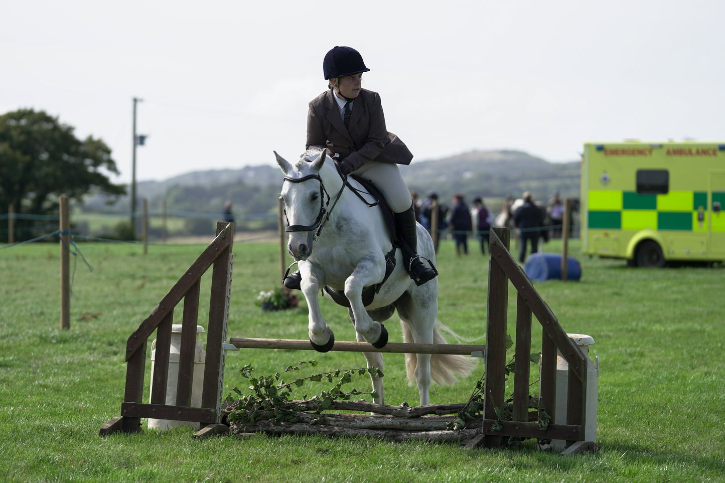 lanlivery show jumping rings part 3