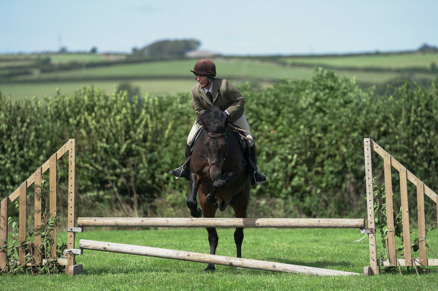 lanlivery show jumping rings part 3