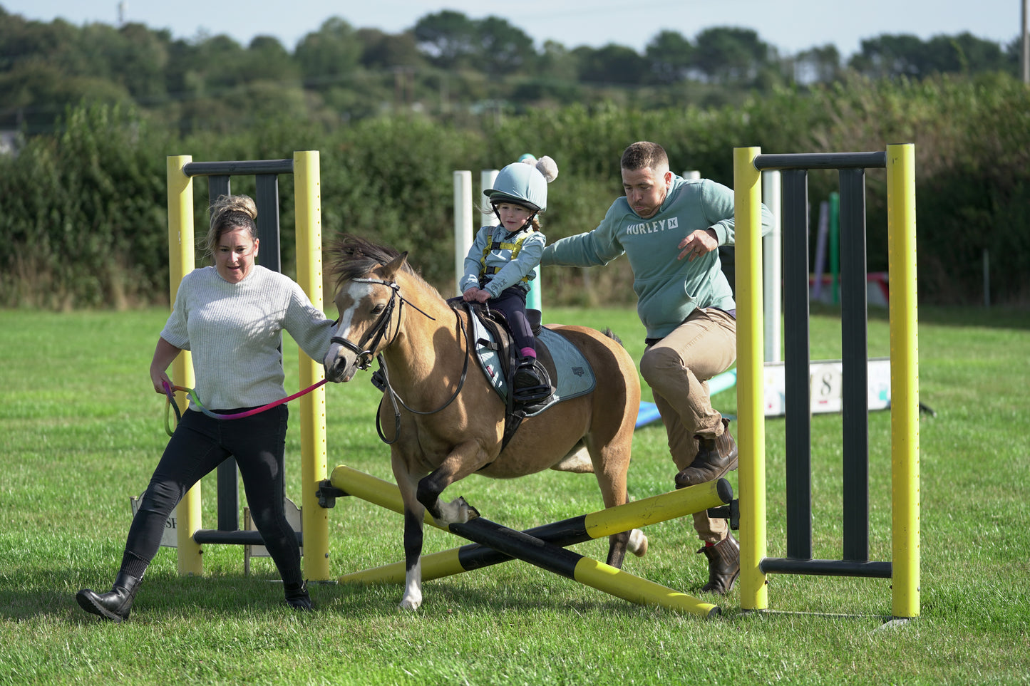 lanlivery show jumping rings part 1