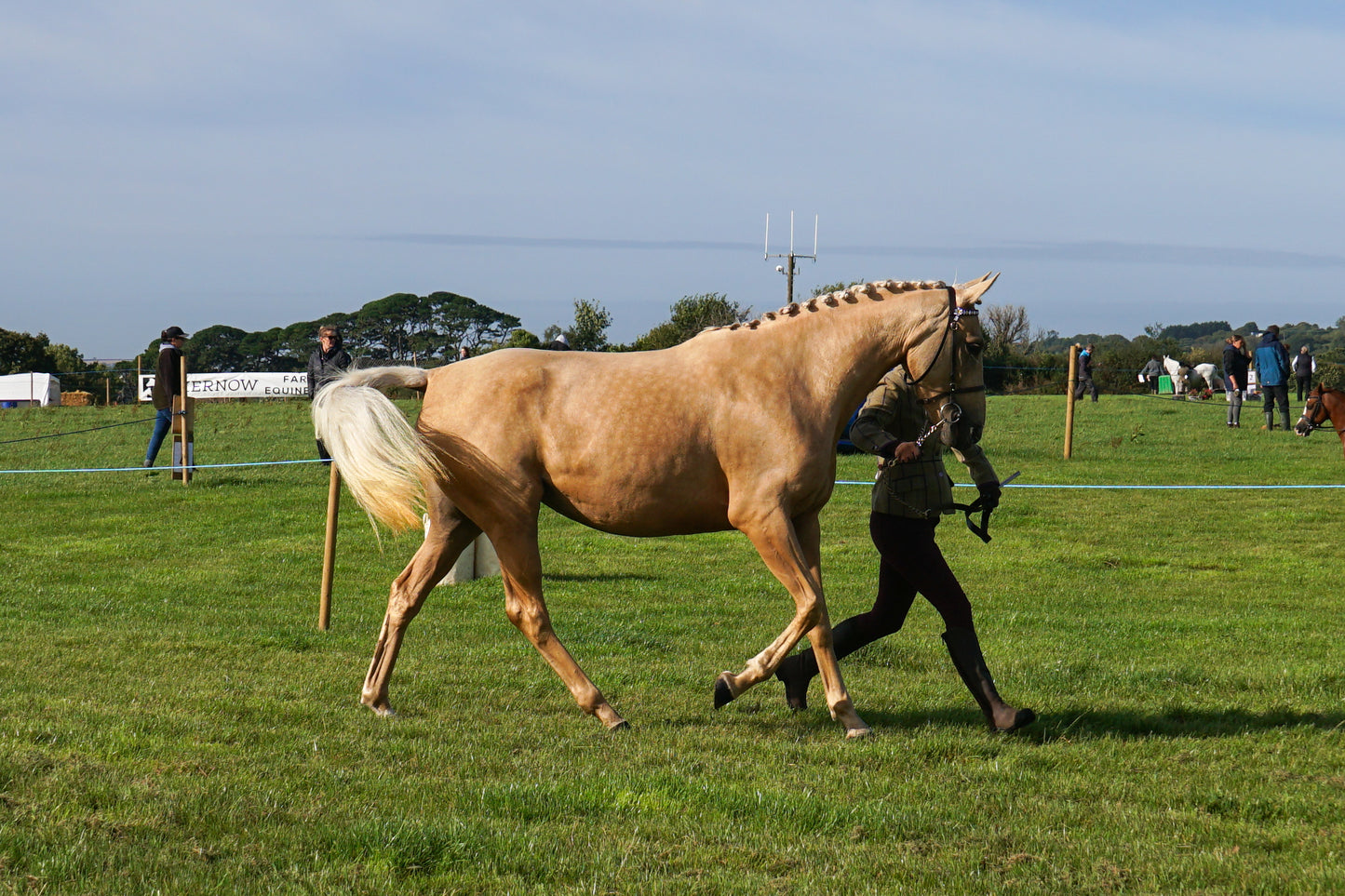 lanlivery show in hand part 1
