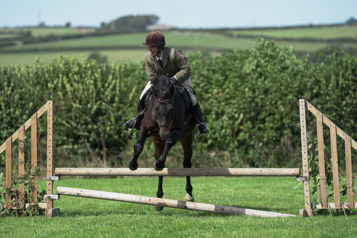 lanlivery show jumping rings part 3