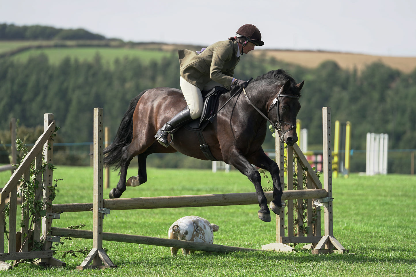 lanlivery show jumping rings part 3