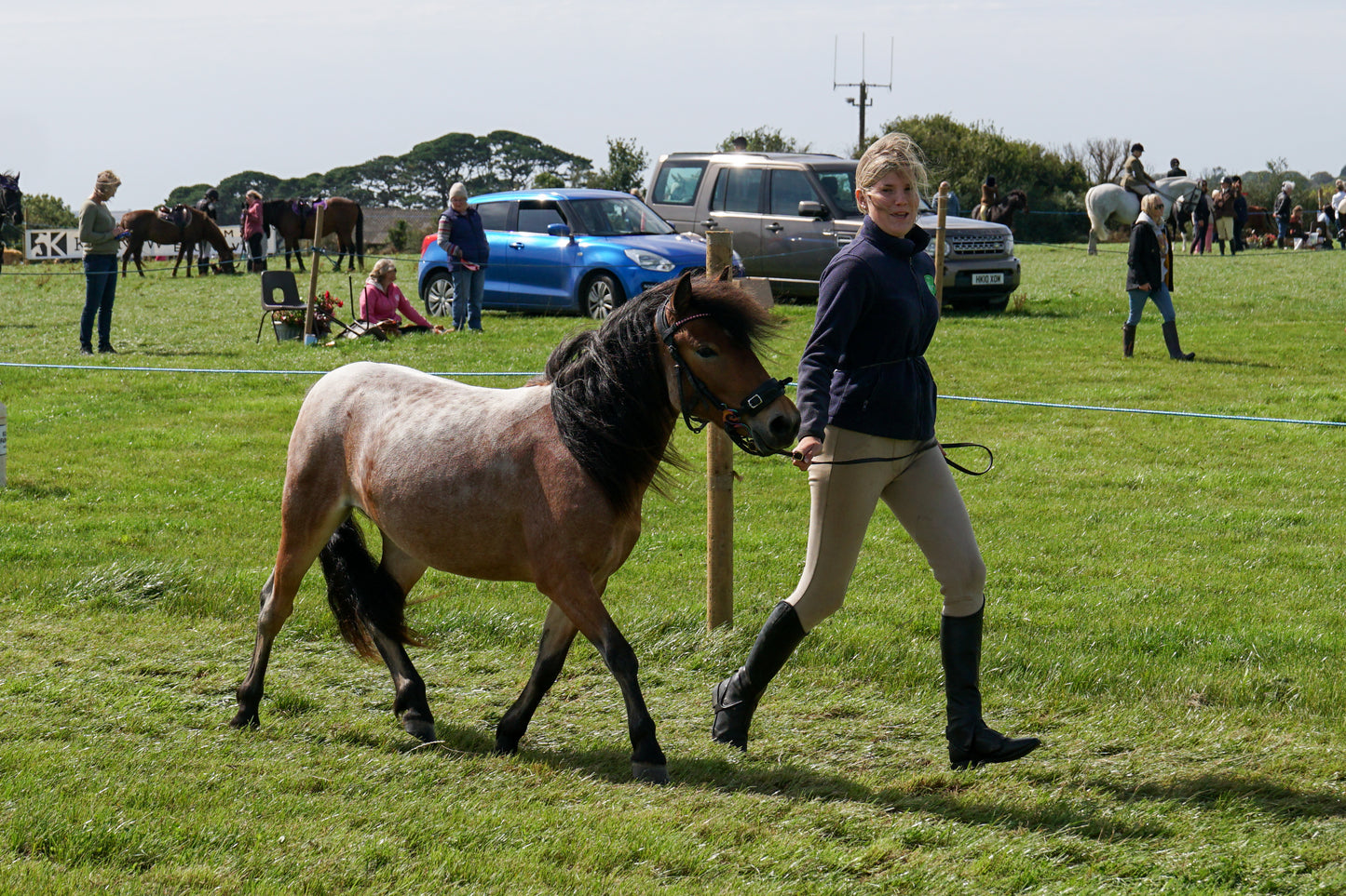 lanlivery show in hand part 3