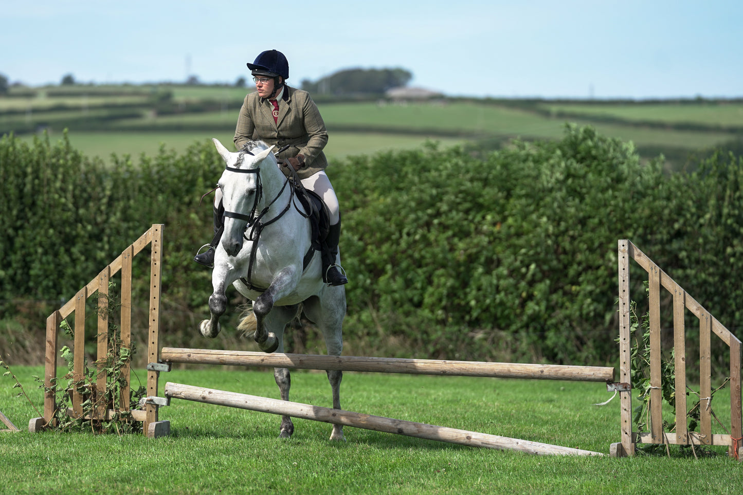 lanlivery show jumping rings part 3