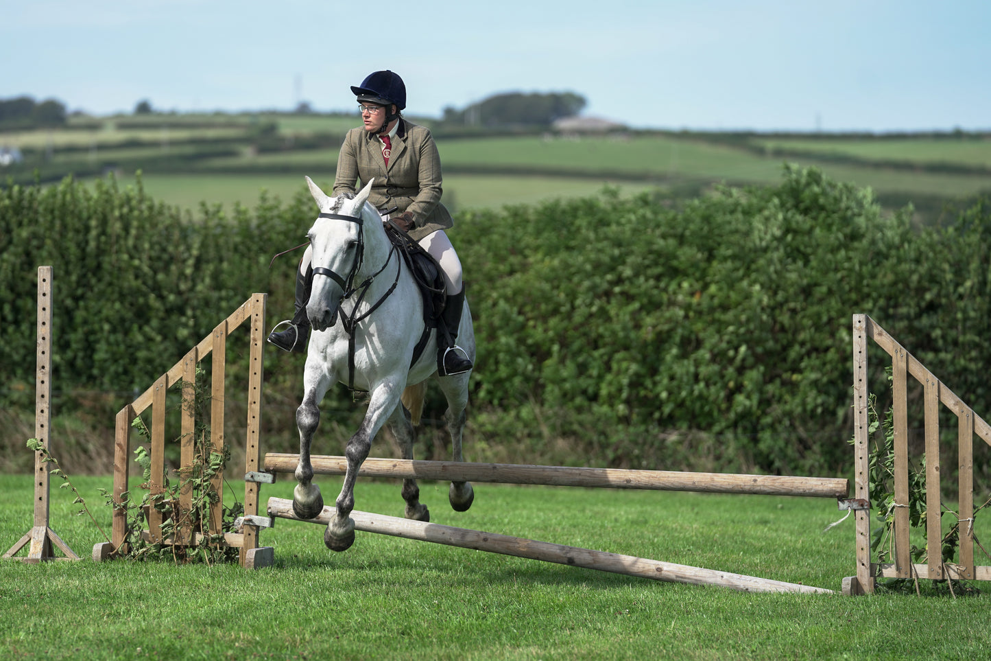 lanlivery show jumping rings part 3
