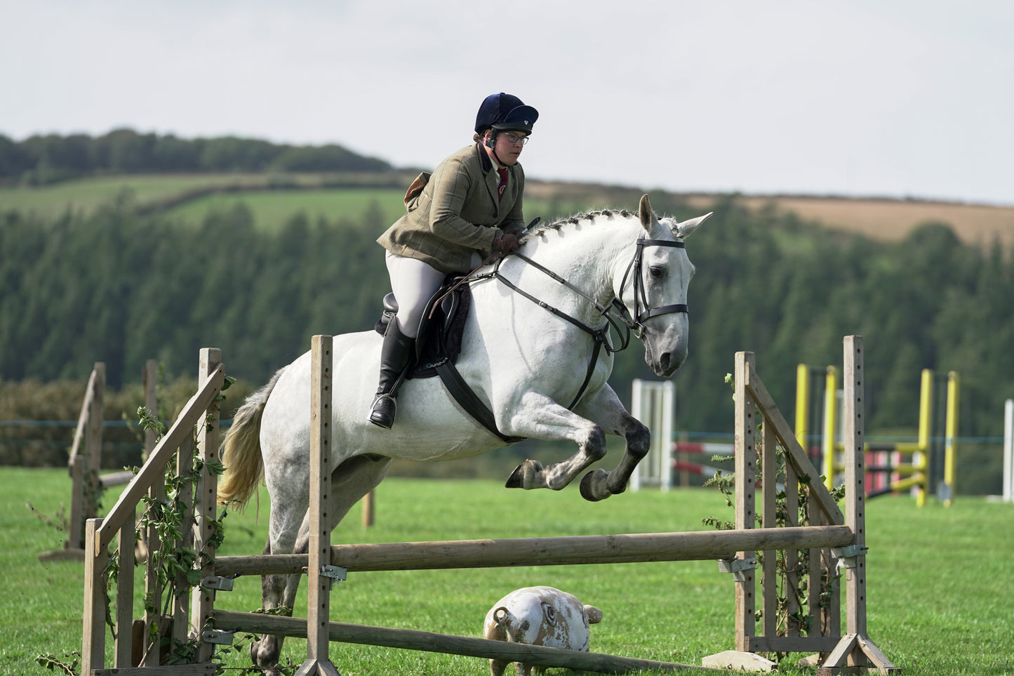 lanlivery show jumping rings part 3