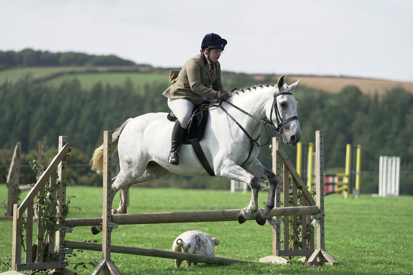 lanlivery show jumping rings part 3