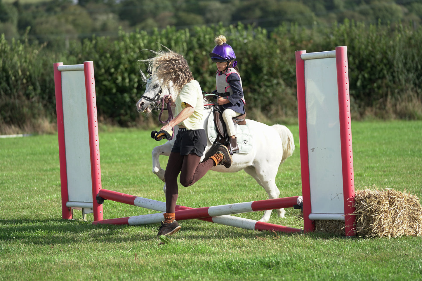 lanlivery show jumping rings part 1