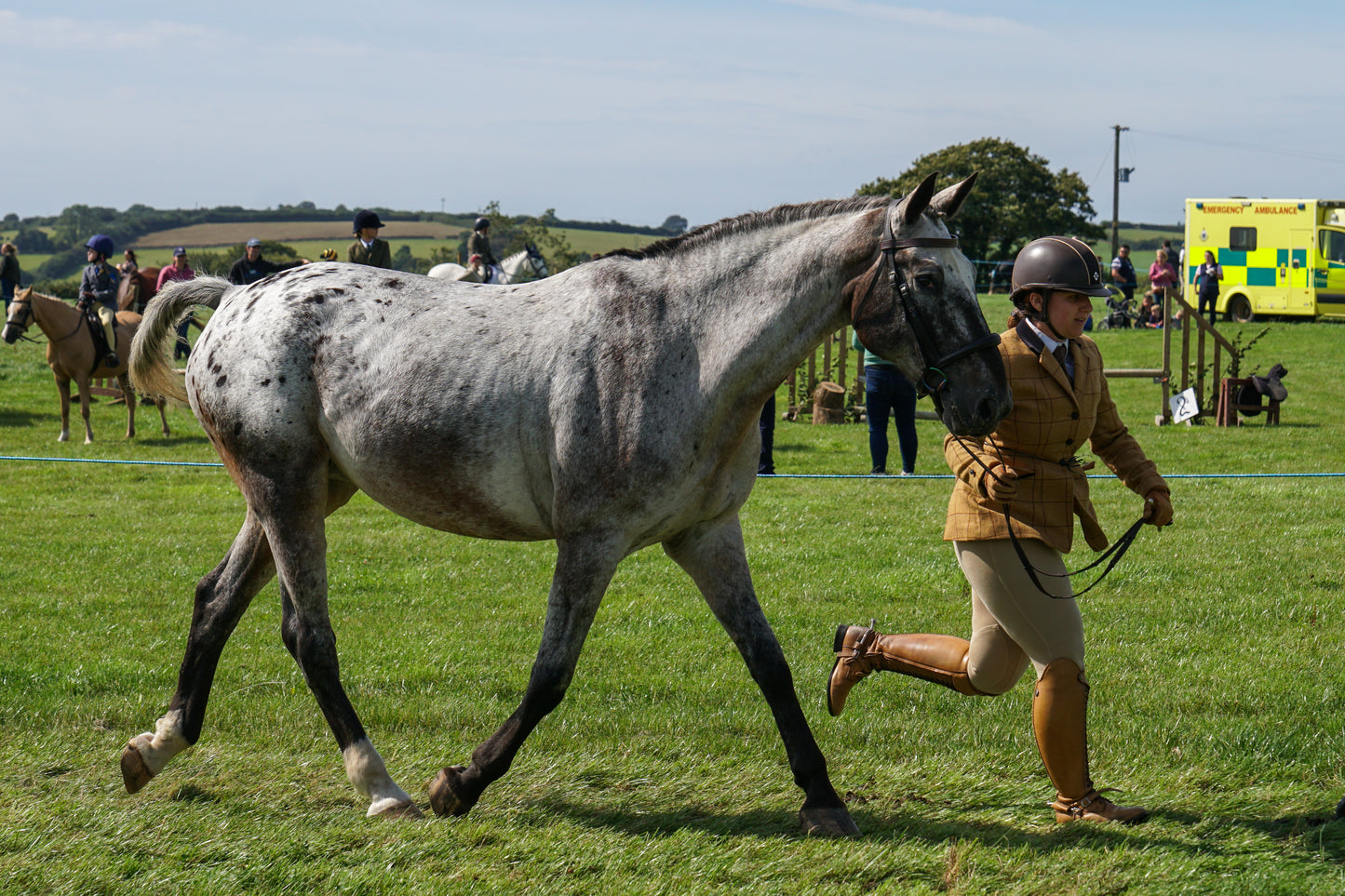 lanlivery show in hand part 3