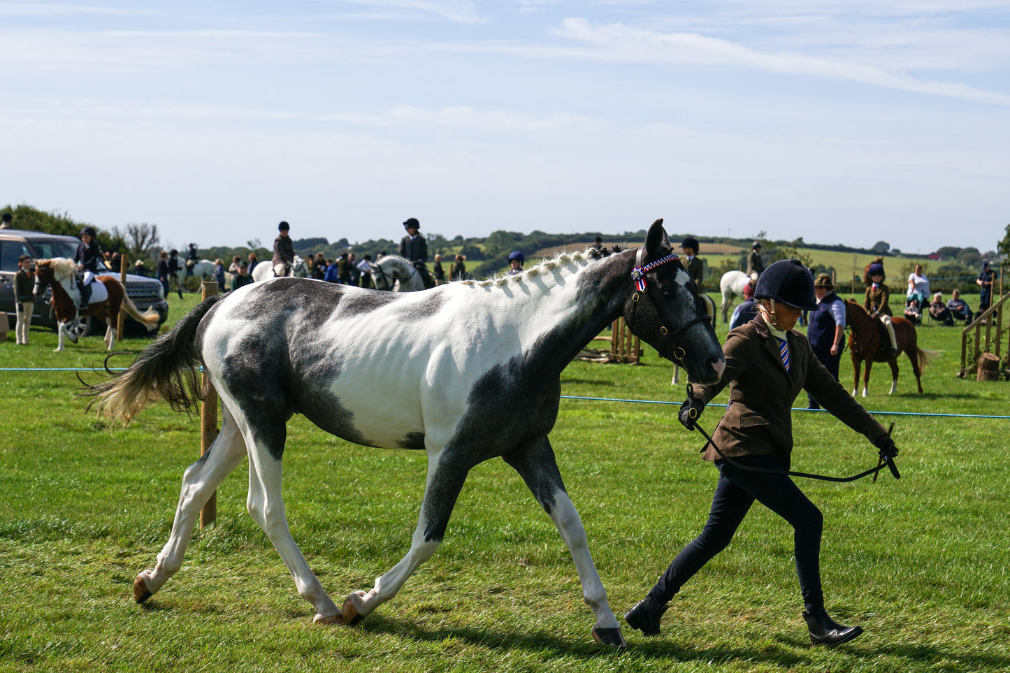 lanlivery show in hand part 3