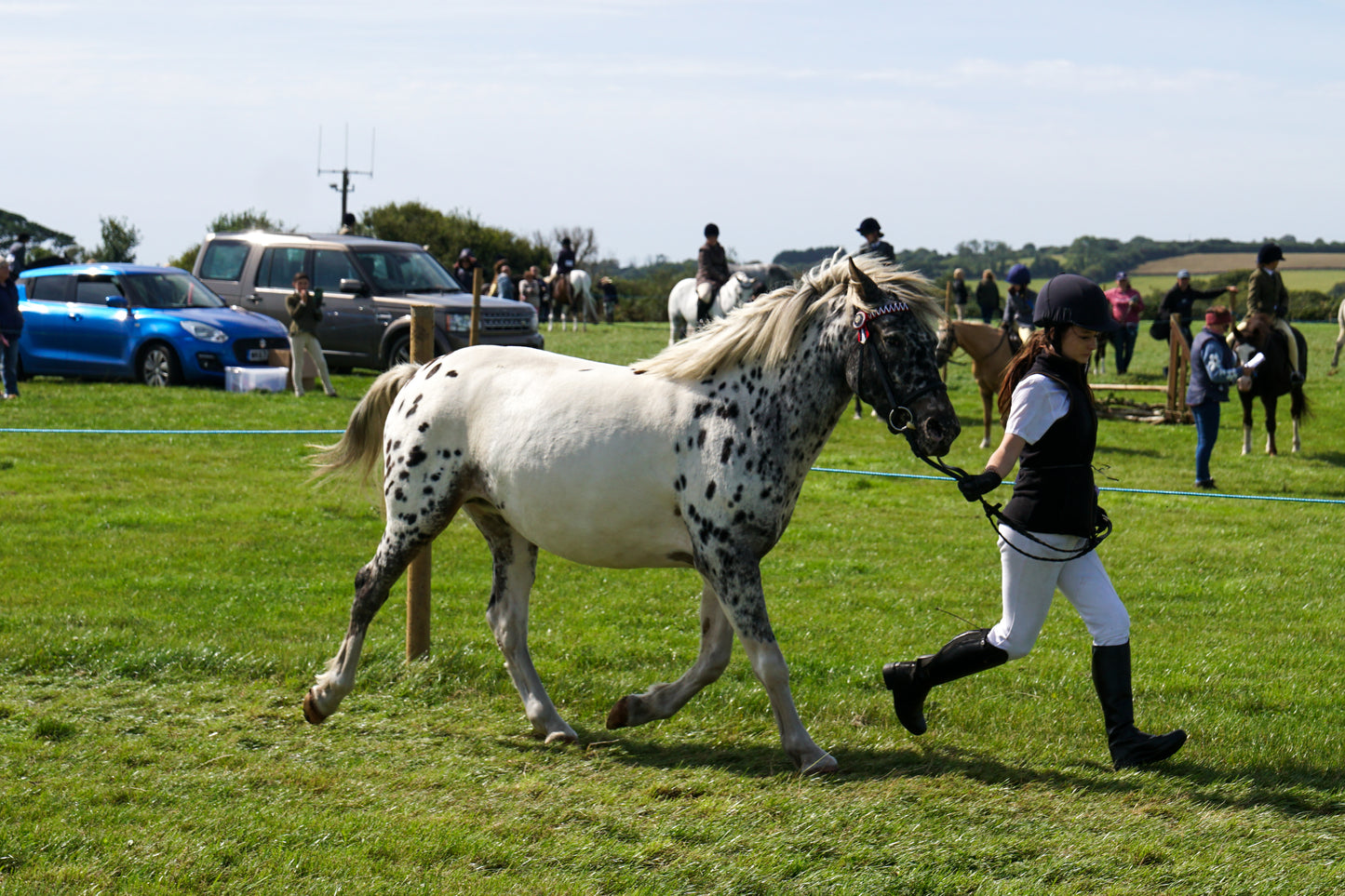 lanlivery show in hand part 3
