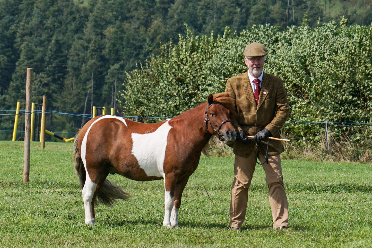 lanlivery show in hand part 3