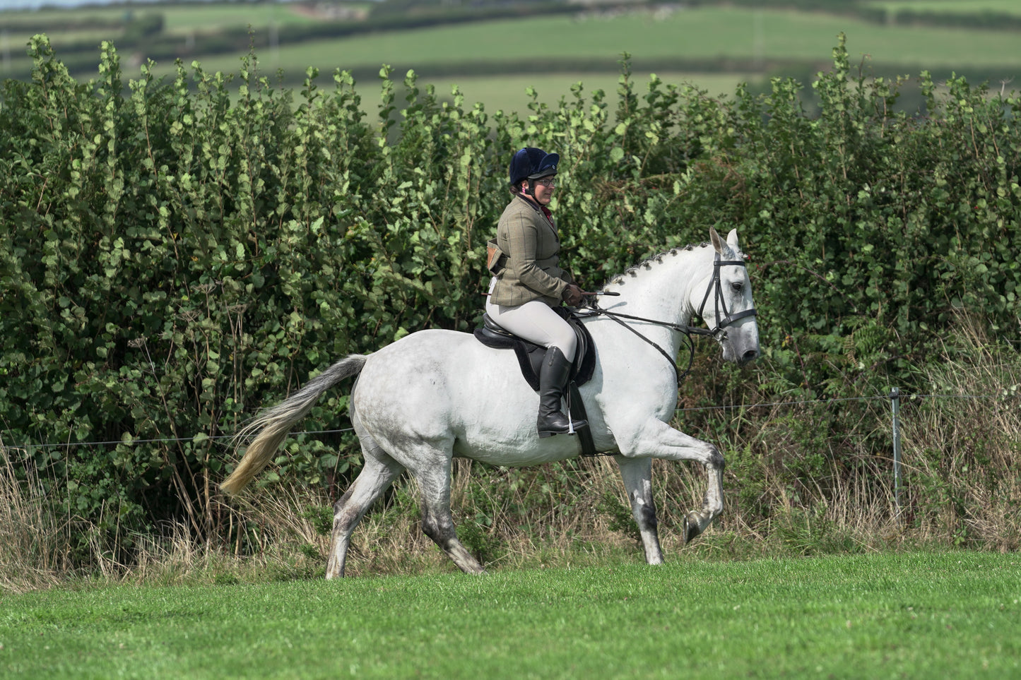 lanlivery show jumping rings part 3