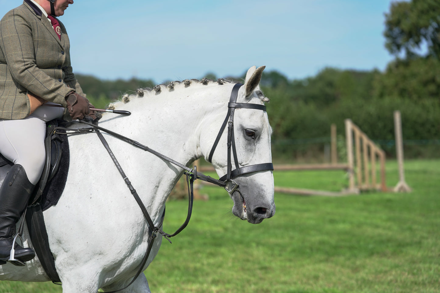 lanlivery show jumping rings part 3