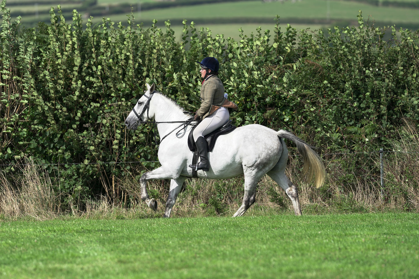 lanlivery show jumping rings part 3