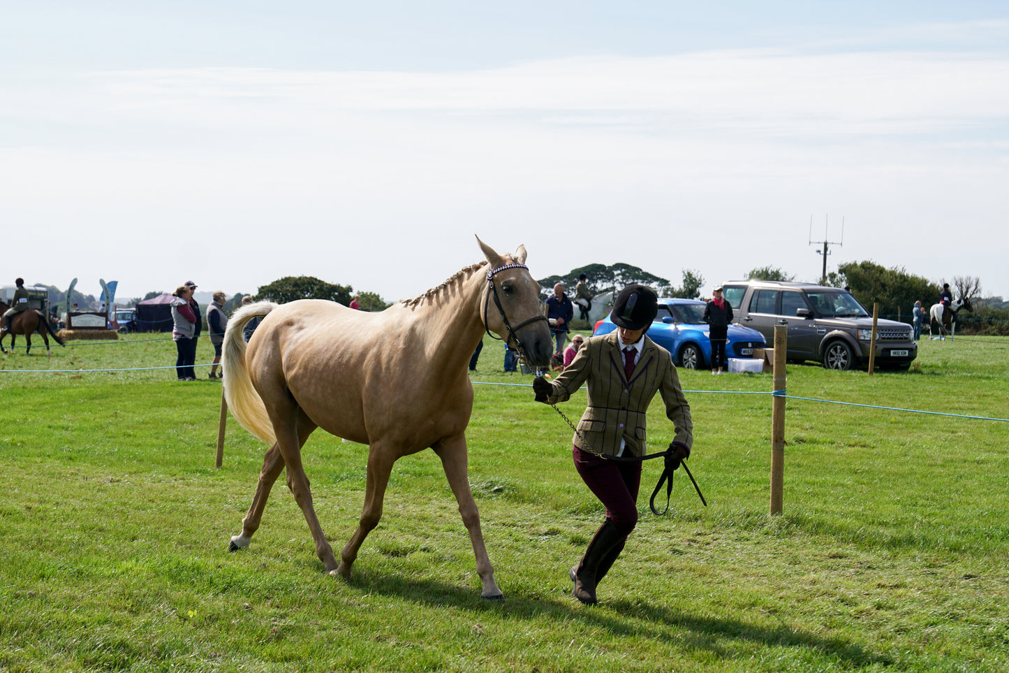 lanlivery show in hand part 3